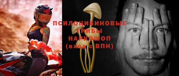 мдпв Ессентукская