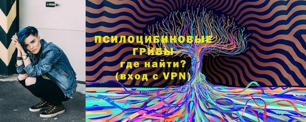 спайс Санкт-Петербург