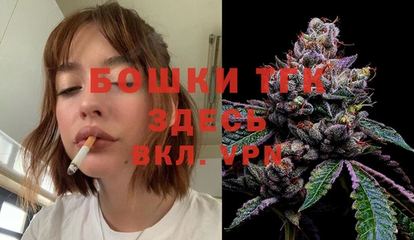 мдпв Ессентукская